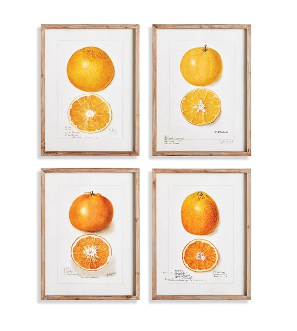 A Set of Four Citrus Studies in Wooden Frames