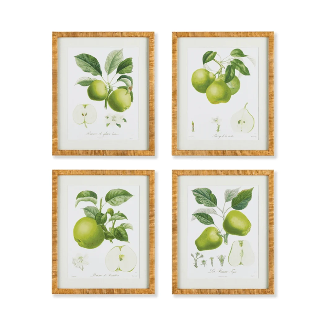 A Set of Four Fruit Studies in Rattan Frames