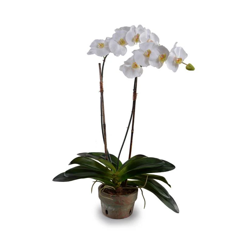Faux Phalaenopsis Orchid in Real Clay Pot - Image 3