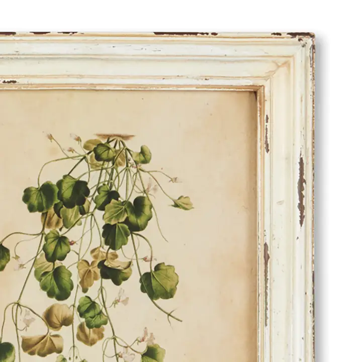 Framed Wild Flower Botanical Prints, Set of 12 - Image 3