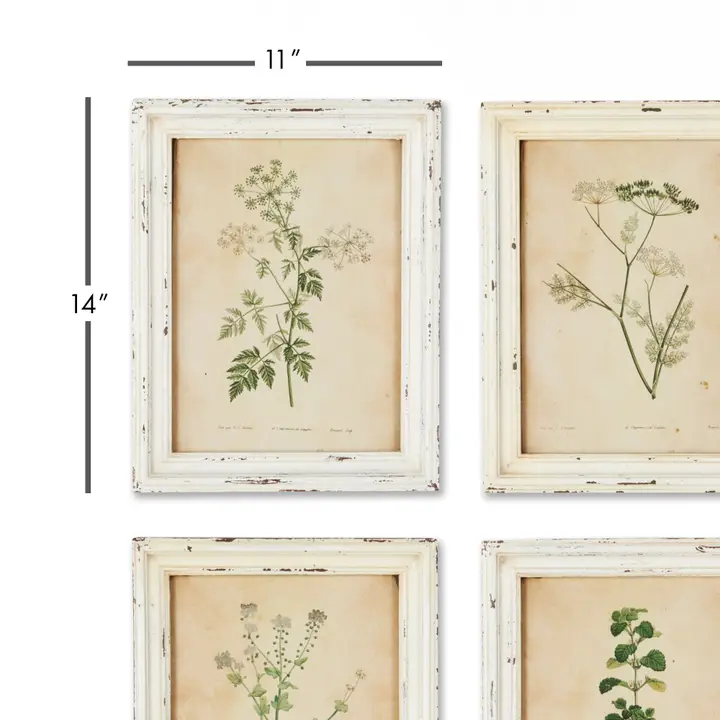 Framed Wild Flower Botanical Prints, Set of 12 - Image 4