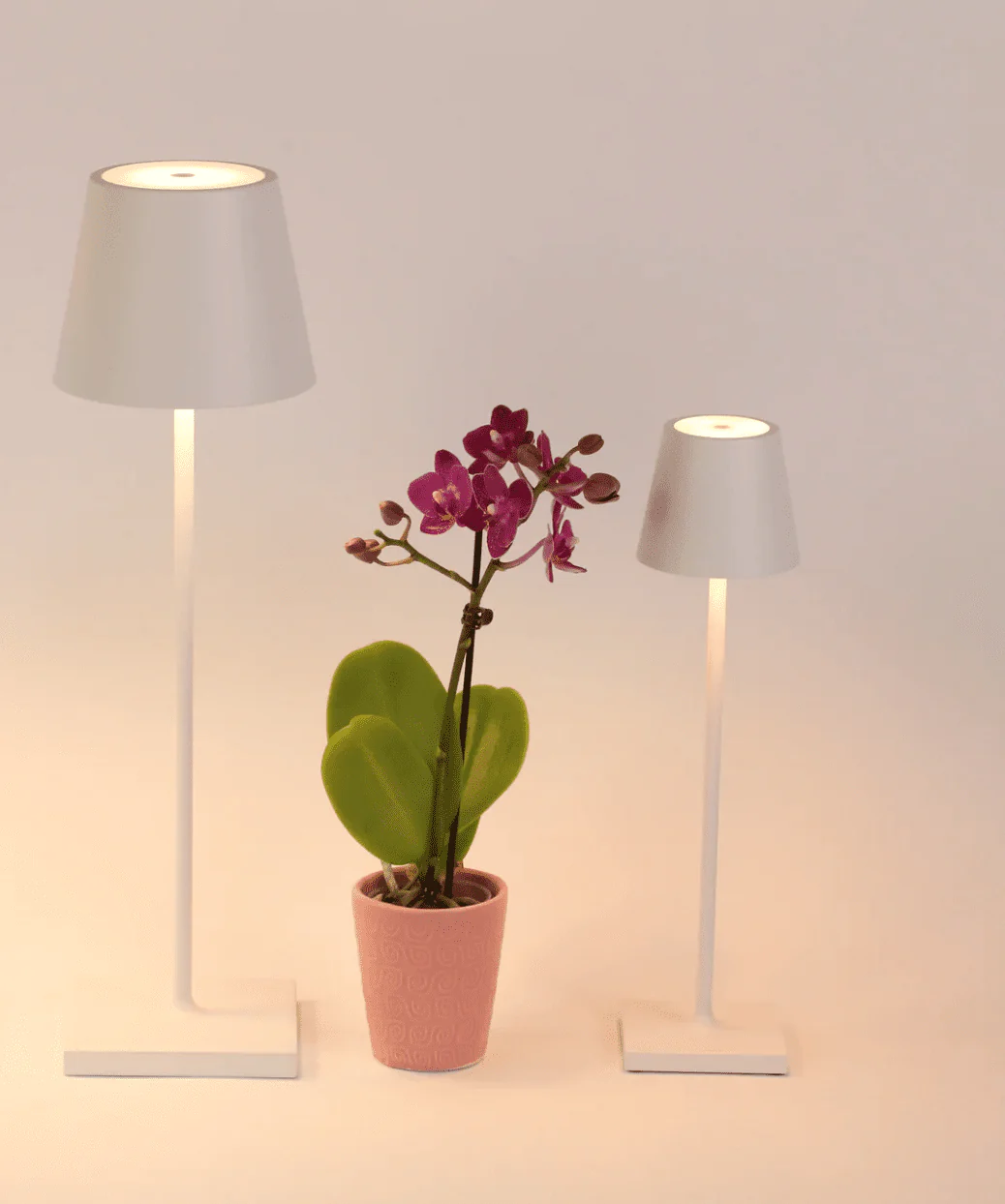 Poldina Pro Micro Cordless Table Lamp - Image 16